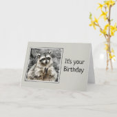 Niedliches Raccoon-Clapping Birthday Spaß Karte (Gelbe Blume)