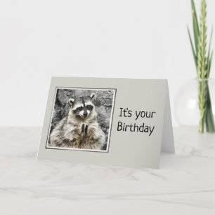 Niedliches Raccoon-Clapping Birthday Spaß Karte
