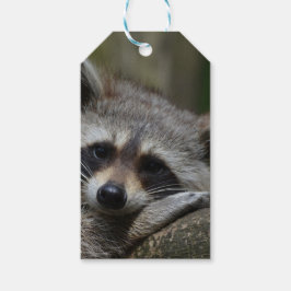 Niedliches Raccoon Geschenkanhänger