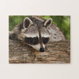 Niedliches Raccoon im Foto Forest Puzzle