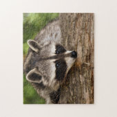 Niedliches Raccoon im Foto Forest Puzzle (Vertikal)