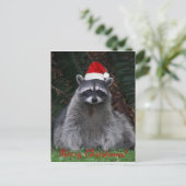 Niedliches Raccoon mit roter Weihnachtsmannmütze Feiertagspostkarte (Stehend Vorderseite)
