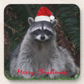 Niedliches Raccoon mit roter Weihnachtsmannmütze Getränkeuntersetzer (Vorderseite)