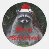 Niedliches Raccoon mit roter Weihnachtsmannmütze Runder Aufkleber (Vorderseite)