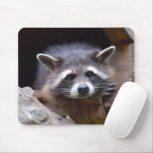 Niedliches Raccoon Mousepad (Mit Mouse)