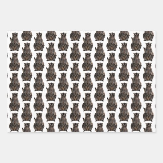 Niedliches Raccoon-Musterpapier Geschenkpapier Set (Vorderseite 2)