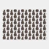 Niedliches Raccoon-Musterpapier Geschenkpapier Set (Vorderseite)
