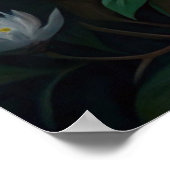 Niedliches Raccoon Poster (Ecke)