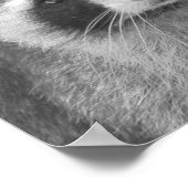 Niedliches Raccoon Poster (Ecke)