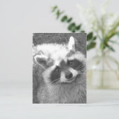 Niedliches Raccoon Postkarte (Stehend Vorderseite)