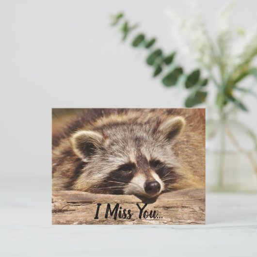 Niedliches Raccoon Postkarte (Stehend Vorderseite)