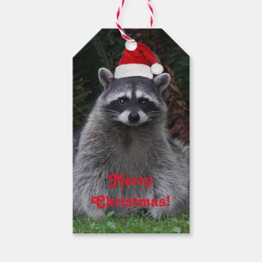 Niedliches Raccoon Rote Weihnachtsmannmütze Urlaub Geschenkanhänger (Vorderseite)