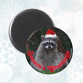 Niedliches Raccoon Rote Weihnachtsmannmütze Urlaub Magnet