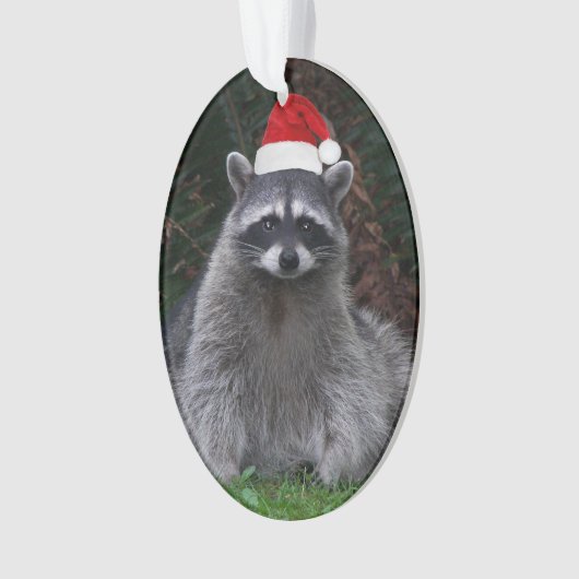 Niedliches Raccoon Rote Weihnachtsmannmütze Urlaub Ornament (Vorderseite)