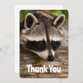Niedliches Raccoon-Ruhen auf einem Log Vielen Dank Dankeskarte (Vorne/Hinten)