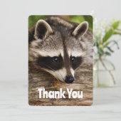 Niedliches Raccoon-Ruhen auf einem Log Vielen Dank Dankeskarte (Stehend Vorderseite)
