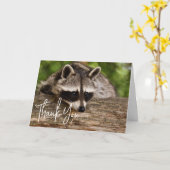 Niedliches Raccoon-Ruhen auf einem Log Vielen Dank Karte (Gelbe Blume)