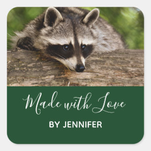 Niedliches Raccoon-Ruhen auf einem Protokoll, herg Quadratischer Aufkleber