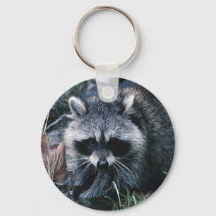 Niedliches Raccoon Schlüsselanhänger