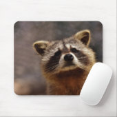 Niedliches Racoon Mousepad (Mit Mouse)