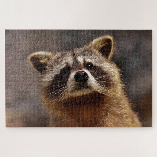 Niedliches Racoon Puzzle (Horizontal)
