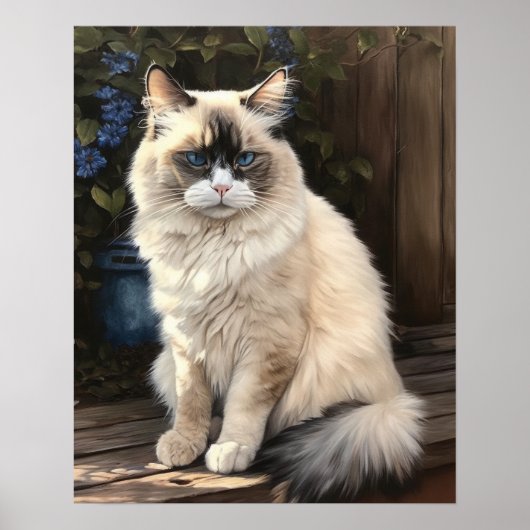 Niedliches Ragdoll Chat Art Print Poster (Vorne)