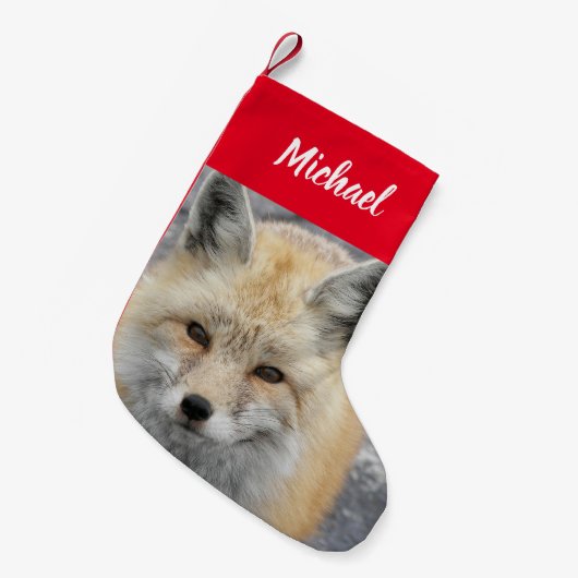 Niedliches Red Fox-Foto mit Name Kleiner Weihnachtsstrumpf (Vorderansicht (hängend))