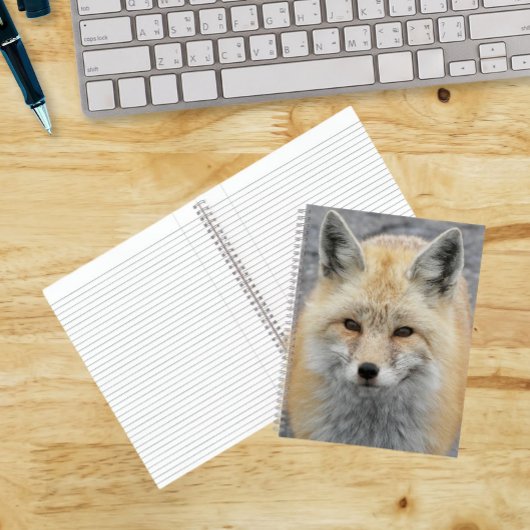 Niedliches Red Fox-Foto Notizblock