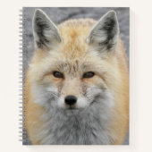 Niedliches Red Fox-Foto Notizblock (Vorderseite)