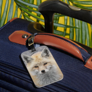 Niedliches Red Fox Wildlife Foto Gepäckanhänger