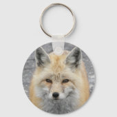 Niedliches Red Fox Wildlife Foto Schlüsselanhänger (Vorderseite)