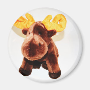 NIEDLICHES REN MAGNET