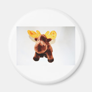 NIEDLICHES REN MAGNET