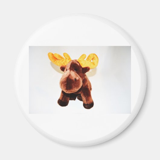 NIEDLICHES REN MAGNET (Vorne)