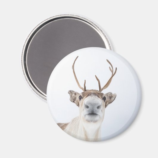 Niedliches Rentier Nature Foto Magnet (Vorderseite/Rückseite)