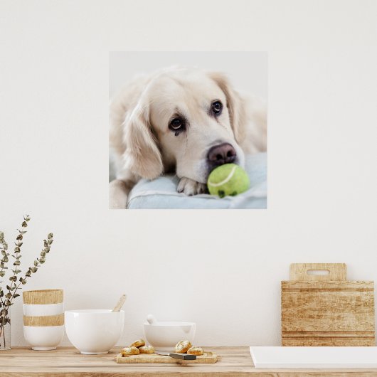 Niedliches Retriever Doster Poster (Küche)