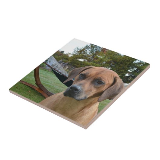 Niedliches Rhodesian Ridgeback Fliese (Seite)