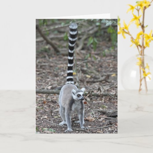 Niedliches Ring-Angebundenes Lemur-Foto Karte (Gelbe Blume)
