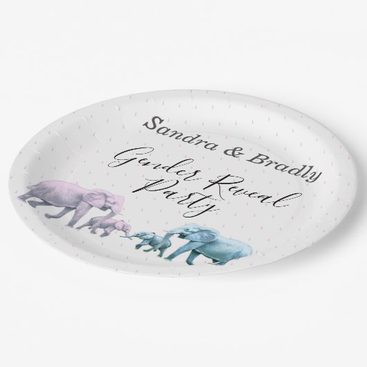 Niedliches Rosa und Blaues Geschlecht offenbartes Pappteller (Schrägansicht)