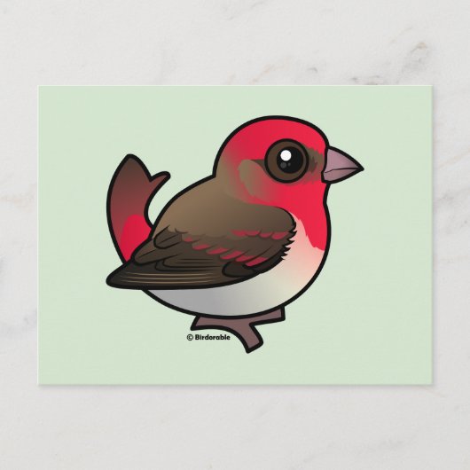 Niedliches Rosefinch Postkarte (Vorderseite)