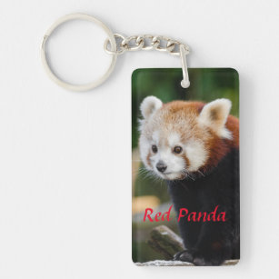 Panda Bär Pandabär Schlüsselanhänger Keychain aus Metall 