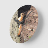 Niedliches Rotes Eichhörnchen auf einem Baumposter Runde Wanduhr (Winkel)