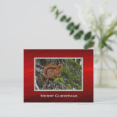 Niedliches Rotes Eichhörnchen Foto Weihnachten Postkarte (Stehend Vorderseite)