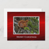 Niedliches Rotes Eichhörnchen Foto Weihnachten Postkarte (Vorne/Hinten)