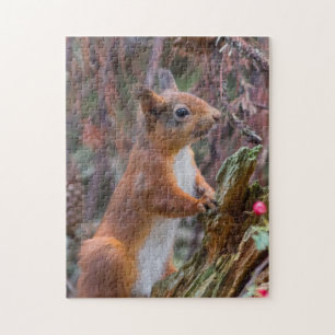 Niedliches Rotes Eichhörnchen Puzzle