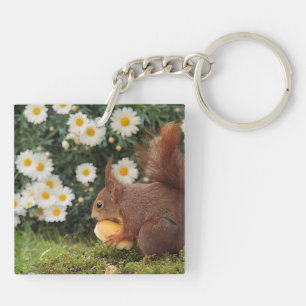 Niedliches rotes Eichhörnchen und Gänseblümchen Schlüsselanhänger