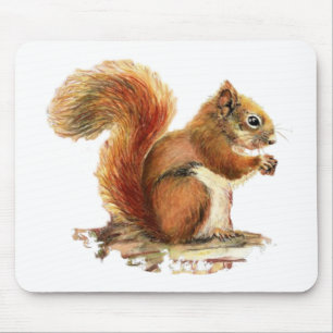 Niedliches Rotes Eichhörnchen Wasserfarbe Tierart Mousepad