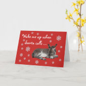 Niedliches rotes Esel-Weihnachten Karte (Gelbe Blume)