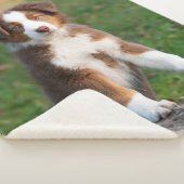 Niedliches rotes Tri australisches Sherpadecke (3/4)