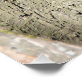 Niedliches Rothörnchen auf einem Baum Poster (Ecke)